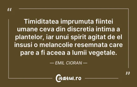 Timiditatea imprumuta fiintei umane ceva... Timiditatea imprumuta fiintei umane ceva...