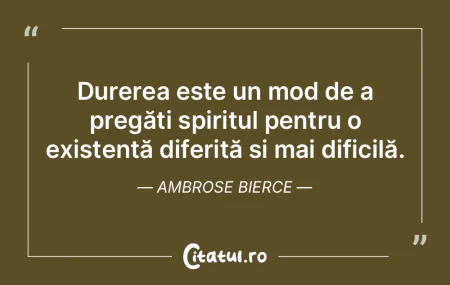 Durerea este un mod de a pregăti spirit... Durerea este un mod de a pregăti spirit...