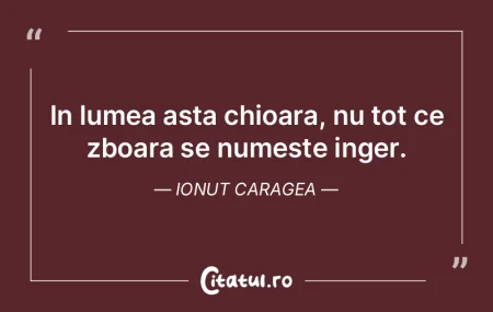 In lumea asta chioara, nu tot ce zboara ... In lumea asta chioara, nu tot ce zboara ...