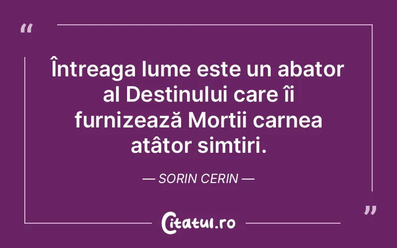 Citat Sorin Cerin - citate spiritualitate