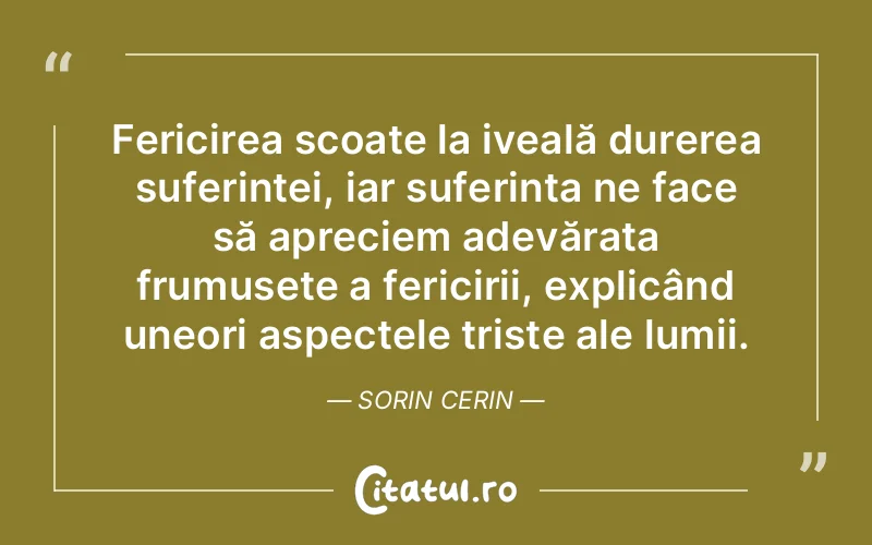 Citat Sorin Cerin - citate spiritualitate