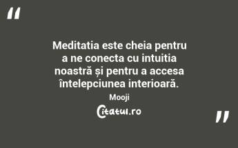 Meditația este cheia pentru a ne conecta cu intuiția noastră și pentru a accesa înțelepciunea interioară. Mooji...