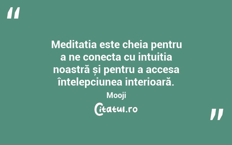 Meditația este cheia pentru a ne conecta cu intuiția noastră și pentru a accesa înțelepciunea interioară. Mooji
