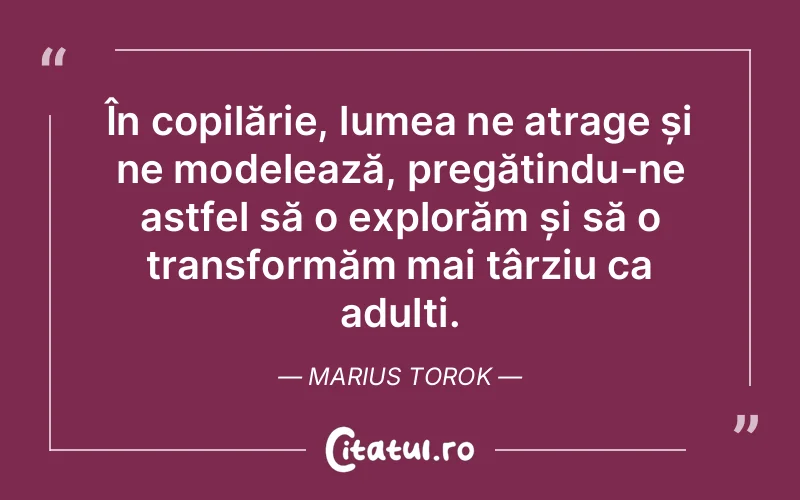 Citat Marius Torok - citate spiritualitate