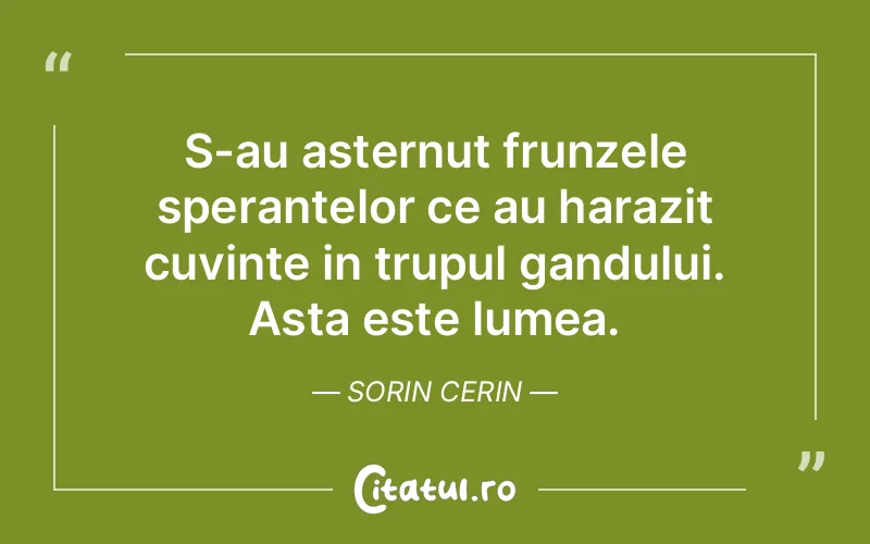 Citat Sorin Cerin - citate spiritualitate