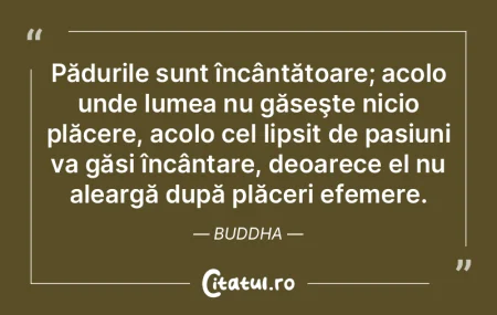 Pădurile sunt încântătoare; acolo un...