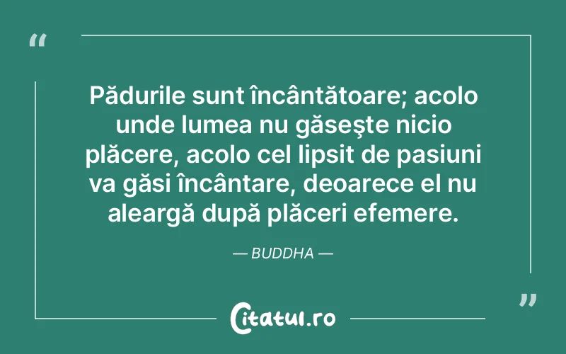 Citat Buddha - citate spiritualitate