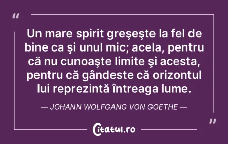 Un mare spirit greşeşte la fel de bine...