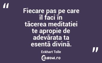 Fiecare pas pe care îl faci în tăcerea meditației te apropie de adevărata ta esență divină. Eckhart Tolle...