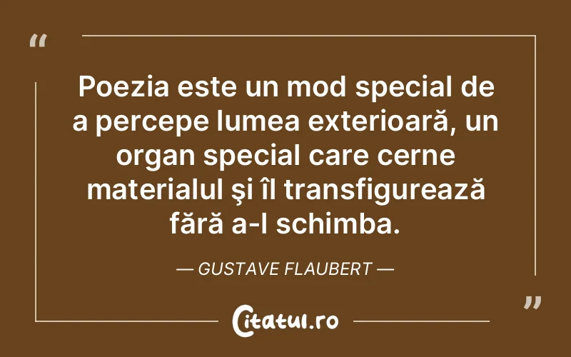 Citat Gustave Flaubert - citate spiritualitate
