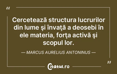 Cercetează structura lucrurilor din lum...
