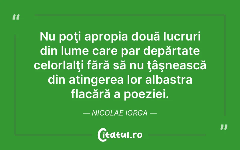 Citat Nicolae Iorga - citate spiritualitate