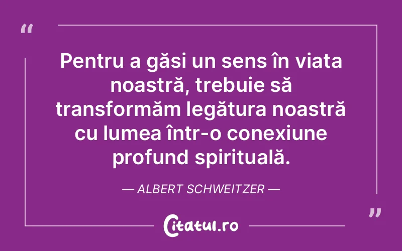 Citat Albert Schweitzer - citate spiritualitate