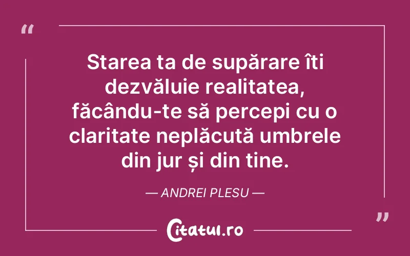 Citat Andrei Plesu - citate spiritualitate
