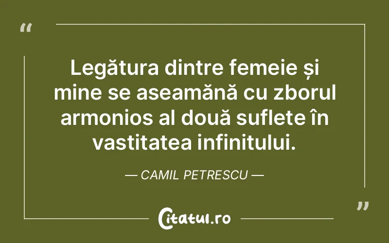Citat Camil Petrescu - citate spiritualitate