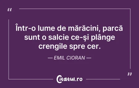Într-o lume de mărăcini, parcă sunt ... Într-o lume de mărăcini, parcă sunt ...