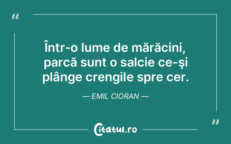 Citat Emil Cioran - citate spiritualitate