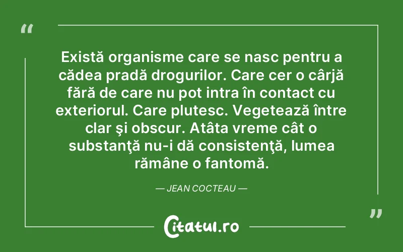 Citat Autor necunoscut - citate spiritualitate
