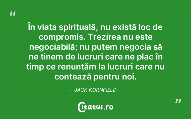 În viața spirituală, nu există loc de compromis. Trezirea nu este negociabilă; nu putem negocia să ne ținem de lucruri care ne plac în timp ce renunțăm la lucruri care nu contează pentru noi. Jack Kornfield