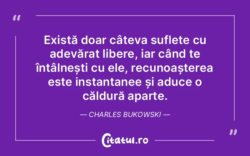 Citat Charles Bukowski - citate spiritualitate