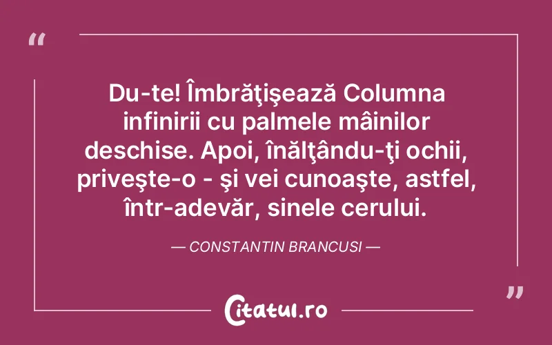 Citat Constantin Brancusi - citate spiritualitate