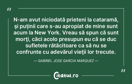 N-am avut niciodată prieteni la cataram... N-am avut niciodată prieteni la cataram...