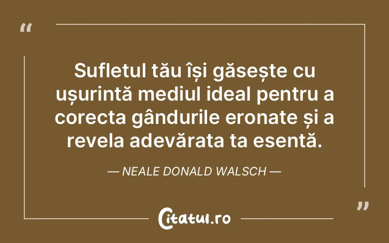 Sufletul tău își găsește cu ușurință mediul ideal pentru a corecta gândurile eronate și a revela adevărata ta esență. Neale Donald Walsch