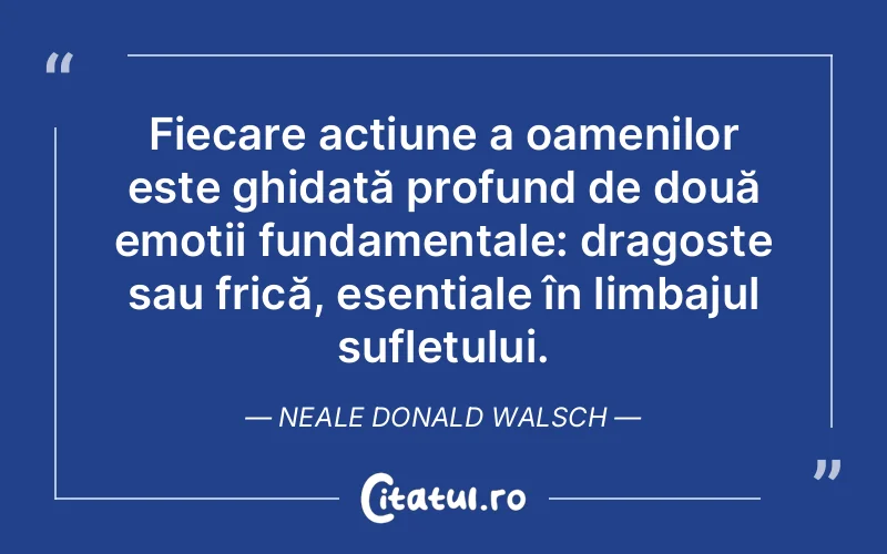 Citat Neale Donald Walsch - citate spiritualitate
