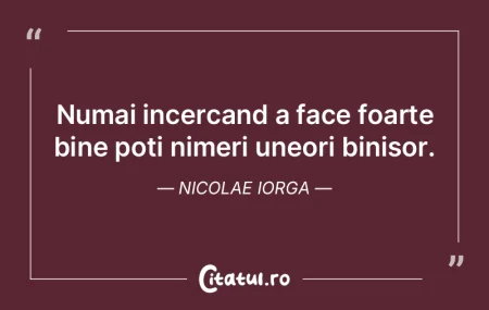 Numai incercand a face foarte bine poti ... Numai incercand a face foarte bine poti ...
