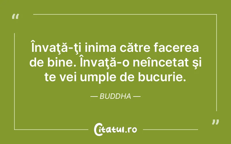 Citat Buddha - citate spiritualitate
