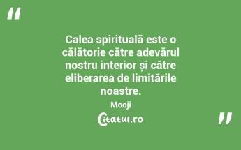 Calea spirituală este o călătorie către adevărul nostru interior și către eliberarea de limitările noastre. Mooji...