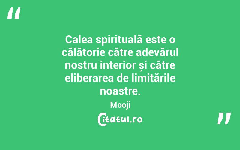 Calea spirituală este o călătorie către adevărul nostru interior și către eliberarea de limitările noastre. Mooji
