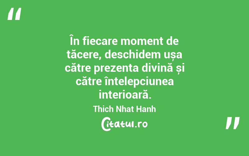 În fiecare moment de tăcere, deschidem ușa către prezența divină și către întelepciunea interioară. Thich Nhat Hanh
