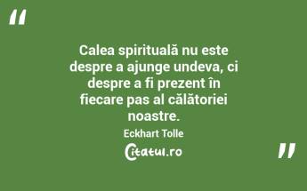 Calea spirituală nu este despre a ajunge undeva, ci despre a fi prezent în fiecare pas al călătoriei noastre. Eckhart Tolle...