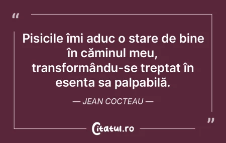 Pisicile îmi aduc o stare de bine în c... Pisicile îmi aduc o stare de bine în c...