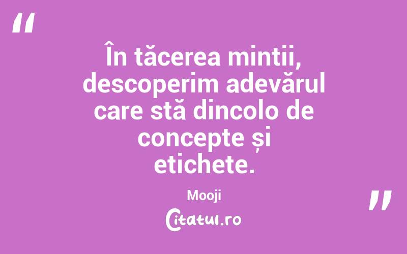 În tăcerea minții, descoperim adevărul care stă dincolo de concepte și etichete. Mooji

