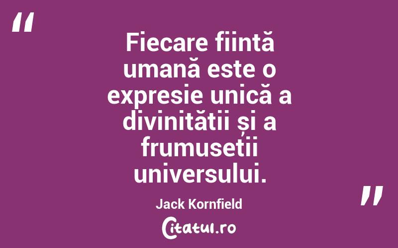 Fiecare ființă umană este o expresie unică a divinității și a frumuseții universului. Jack Kornfield
