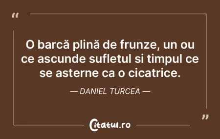 O barcă plină de frunze, un ou ce ascu... O barcă plină de frunze, un ou ce ascu...