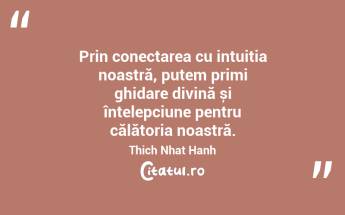 Prin conectarea cu intuiția noastră, putem primi ghidare divină și înțelepciune pentru călătoria noastră. Thich Nhat Hanh...