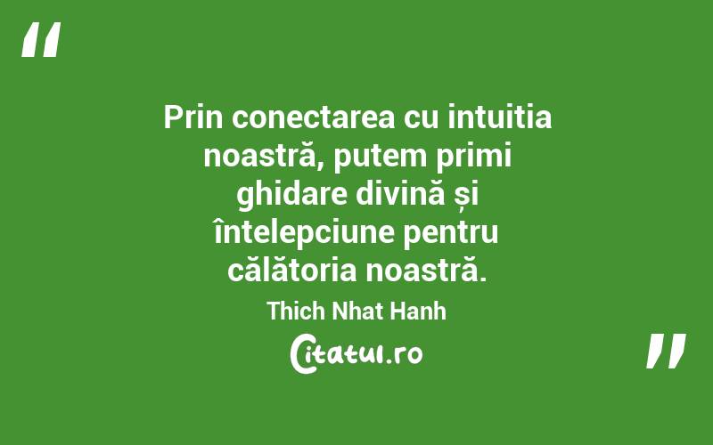 Prin conectarea cu intuiția noastră, putem primi ghidare divină și înțelepciune pentru călătoria noastră. Thich Nhat Hanh
