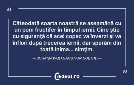 Câteodată soarta noastră se aseamănÄ... Câteodată soarta noastră se aseamănÄ...