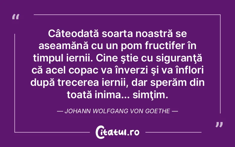 Citat Autor necunoscut - citate spiritualitate