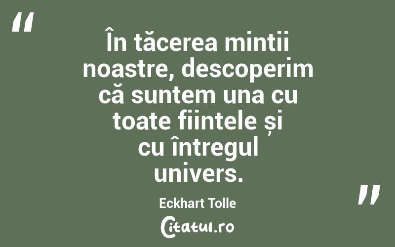 În tăcerea minții noastre, descoperim că suntem una cu toate ființele și cu întregul univers. Eckhart Tolle

