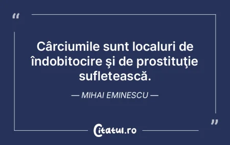 Cârciumile sunt localuri de îndobitoci...
