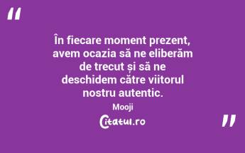 În fiecare moment prezent, avem ocazia să ne eliberăm de trecut și să ne deschidem către viitorul nostru autentic. Mooji...