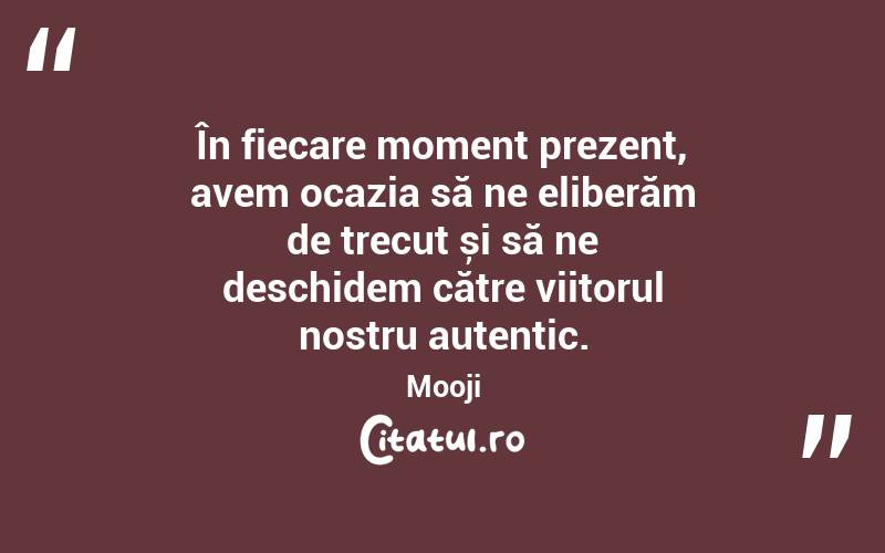 În fiecare moment prezent, avem ocazia să ne eliberăm de trecut și să ne deschidem către viitorul nostru autentic. Mooji
