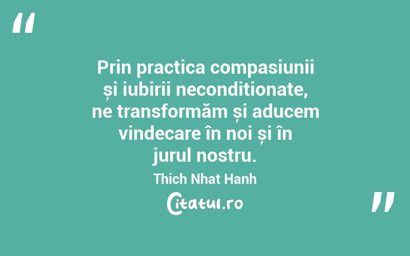 Prin practica compasiunii și iubirii necondiționate, ne transformăm și aducem vindecare în noi și în jurul nostru. Thich Nhat Hanh
