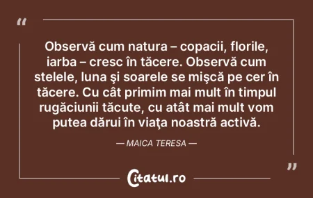 Observă cum natura – copacii, florile... Observă cum natura – copacii, florile...