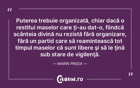 Puterea trebuie organizată, chiar dacă... Puterea trebuie organizată, chiar dacă...