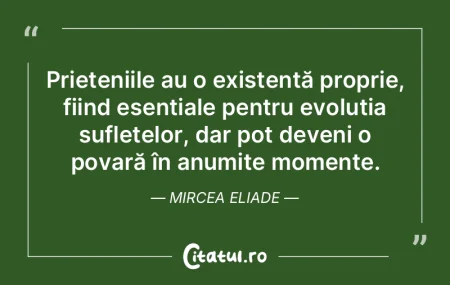 Prieteniile au o existență proprie, fi... Prieteniile au o existență proprie, fi...